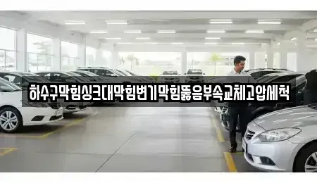 전남 장성군 삼서면 중고차매입 전문 하수구막힘싱크대막힘변기막힘뚫음부속교체고압세척