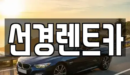 전남 진도군 렌트카 전문 선경렌트카