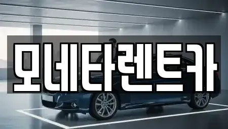전남 진도군 의신면 렌트카 전문 모네타렌트카