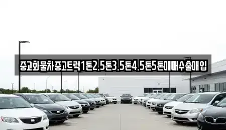 전남 진도군 의신면 중고차,렌트카,중고차매입,중고차매매,장기렌트카,단기렌트카