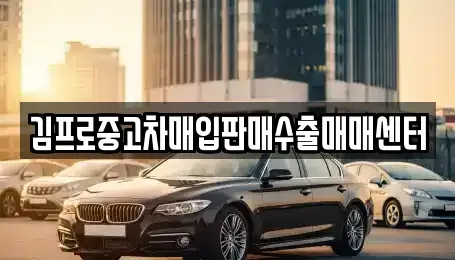 전남 진도군 중고차 전문 김프로중고차매입판매수출매매센터