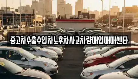 전남 진도군 중고차매입 전문 중고차수출수입차노후차사고차량매입매매센타