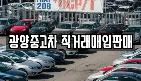 전라남도 광양시 중고차 전문 광양중고차 직거래매입판매