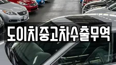 전라남도 목포시 수강동2가 중고차 전문 도이치중고차수출무역