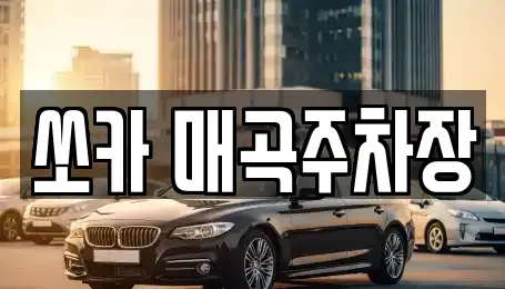전라남도 순천시 용당동 렌트카 전문 쏘카 매곡주차장