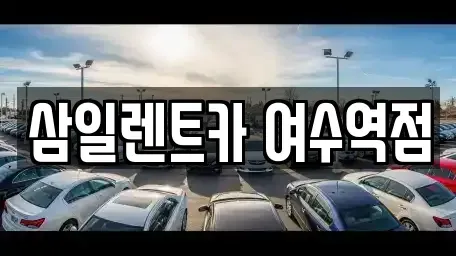 전라남도 여수시 광무동 렌트카 전문 삼일렌트카 여수역점