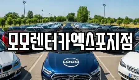 전라남도 여수시 돌산읍 렌트카 전문 모모렌터카엑스포지점