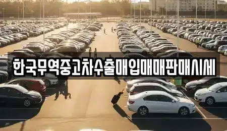 전라남도 영광군 군서면 중고차매입 전문 한국무역중고차수출매입매매판매시세