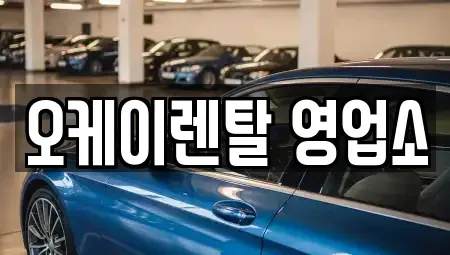전라남도 장성군 황룡면 렌트카,단기렌트카,장기렌트카,중고차,중고차매매,중고차매입