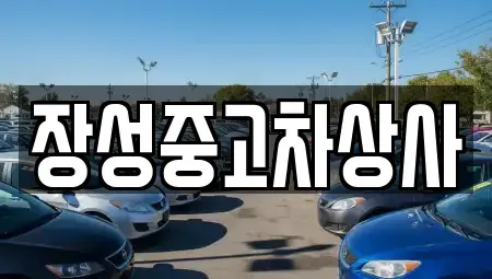 전라남도 장성군 황룡면 중고차 전문 장성중고차상사