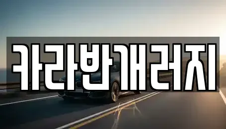 전라남도 장성군 황룡면 중고차 전문 카라반개러지