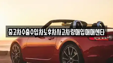 전라남도 장성군 황룡면 중고차매입 전문 중고차수출수입차노후차사고차량매입매매센타