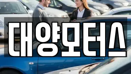 전라남도 함평군 월야면 중고차 전문 대양모터스