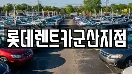 전북 군산시 나운동 렌트카 전문 롯데렌트카군산지점
