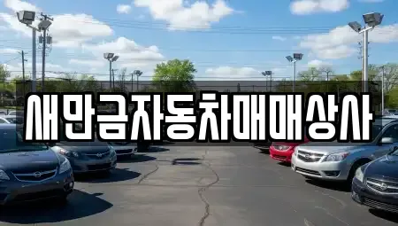 전북 군산시 둔율동 중고차 전문 새만금자동차매매상사