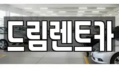 전북 완주군 용진읍 렌트카 전문 드림렌트카