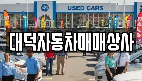 전북 완주군 용진읍 중고차 전문 대덕자동차매매상사