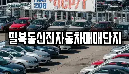 전북 완주군 용진읍 중고차 전문 팔복동신진자동차매매단지