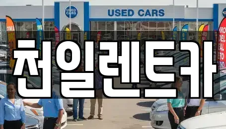 전북 익산시 석암동 렌트카 전문 천일렌트카