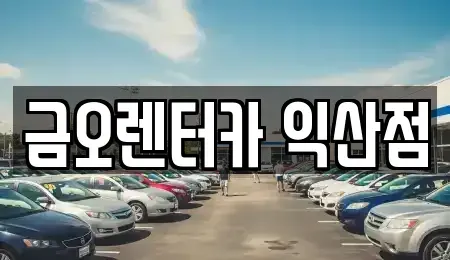 전북 익산시 신용동 단기렌트카,중고차매입,중고차매매,중고차,렌트카,장기렌트카
