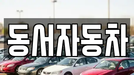 전북 장수군 장계면 중고차 전문 동서자동차