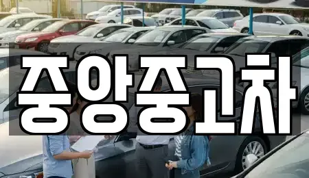 전북 전주시 완산구 중화산동1가 중고차 전문 중앙중고차