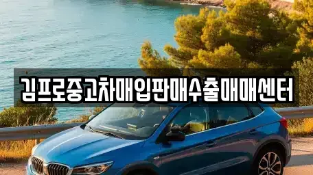 전북 진안군 부귀면 중고차 전문 김프로중고차매입판매수출매매센터