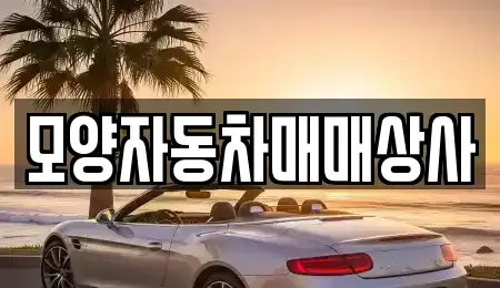 전북특별자치도 고창군 아산면 중고차 전문 모양자동차매매상사