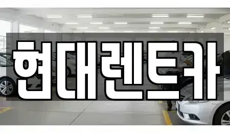 전북특별자치도 군산시 성산면 렌트카 전문 현대렌트카
