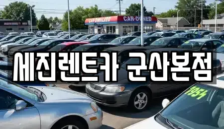 전북특별자치도 군산시 성산면 장기렌트카 전문 세진렌트카 군산본점