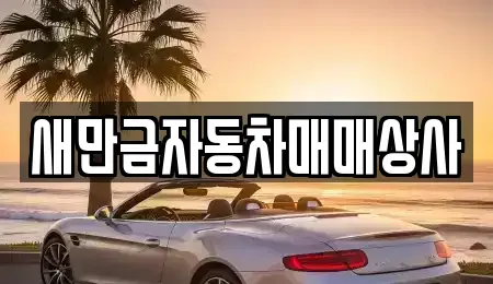 전북특별자치도 군산시 죽성동 중고차매매 전문 새만금자동차매매상사