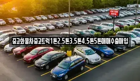 전북특별자치도 김제시 서정동 중고차매매,단기렌트카,중고차매입,장기렌트카,중고차,렌트카