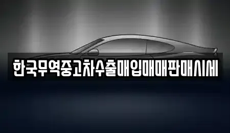 전북특별자치도 김제시 서정동 중고차매매 전문 한국무역중고차수출매입매매판매시세