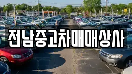 전북특별자치도 김제시 연정동 렌트카,단기렌트카,장기렌트카,중고차,중고차매매,중고차매입