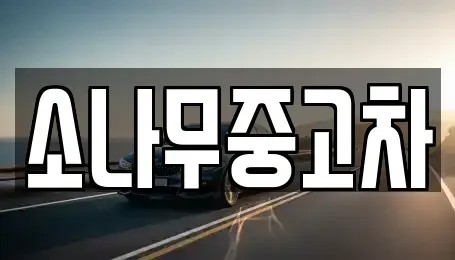 전북특별자치도 김제시 요촌동 중고차 전문 소나무중고차