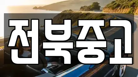 전북특별자치도 김제시 요촌동 중고차 전문 전북중고