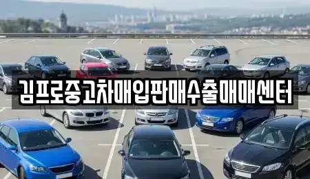 전북특별자치도 김제시 용동 중고차매입 전문 김프로중고차매입판매수출매매센터