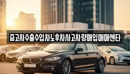 전북특별자치도 김제시 용동 중고차매입 전문 중고차수출수입차노후차사고차량매입매매센타