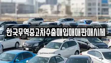 전북특별자치도 김제시 용동 중고차매입 전문 한국무역중고차수출매입매매판매시세