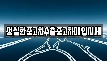 전북특별자치도 완주군 구이면 중고차 전문 성실한중고차수출중고차매입시세