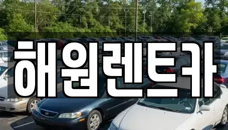 전북특별자치도 익산시 부송동 렌트카 전문 해원렌트카