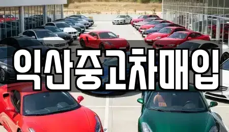 전북특별자치도 익산시 부송동 중고차 전문 익산중고차매입
