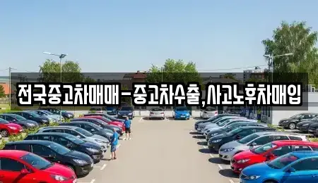 전북특별자치도 익산시 부송동 중고차 전문 전국중고차매매-중고차수출,사고노후차매입