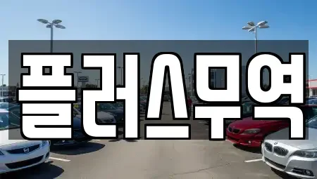 전북특별자치도 익산시 부송동 중고차 전문 플러스무역