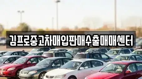 전북특별자치도 익산시 부송동 중고차매입 전문 김프로중고차매입판매수출매매센터