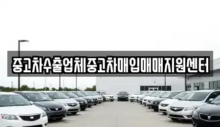 전북특별자치도 익산시 부송동 중고차매입 전문 중고차수출업체중고차매입매매지원센터