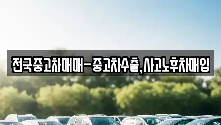 전북특별자치도 익산시 용제동 중고차매매 전문 전국중고차매매-중고차수출,사고노후차매입