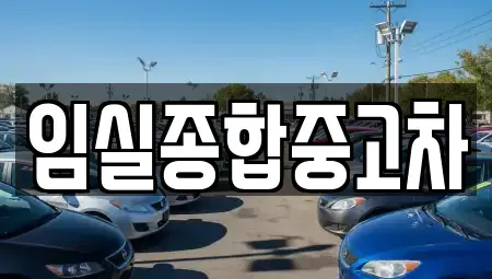 전북특별자치도 임실군 신평면 중고차,렌트카,중고차매입,중고차매매,장기렌트카,단기렌트카