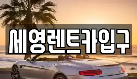 전북특별자치도 전주시 덕진구 여의동2가 렌트카 전문 세영렌트카입구