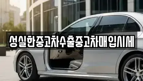 전북특별자치도 전주시 덕진구 여의동2가 중고차 전문 성실한중고차수출중고차매입시세